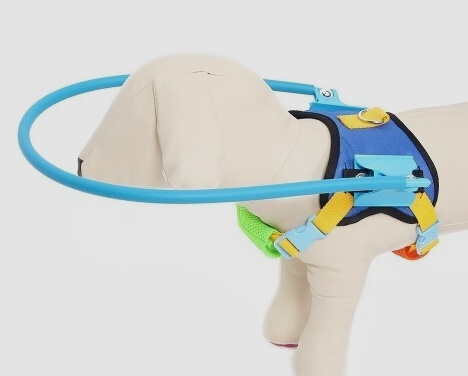 강아지모양 인형이 충격방지용 엔젤링을 장착하고 있다.