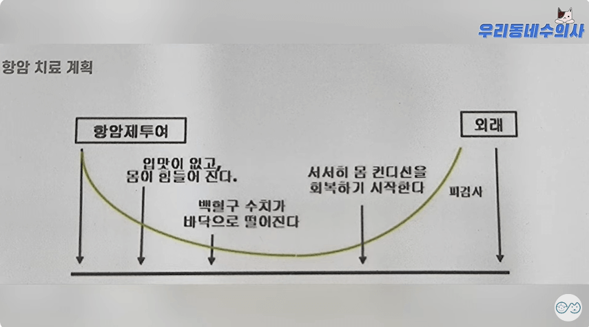 항암 치료 계획
항암제 투여 - 입맛이 없고, 몸이 힘들어 진다. - 백혈구 수치가 바닥으로 떨어진다. - 서서히 몸 컨디션을 회복하기 시작한다 - 피검사 외래