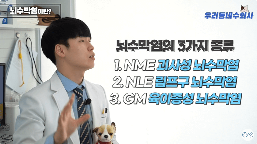 강아지 뇌수막염의 3가지 종류 - 괴사성 뇌수막염, 림프구 뇌수막염, 육아종성 뇌수막염