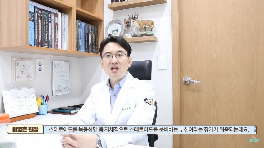 스테로이드를 복용하면 몸 자체적으로 스테로이드를 분비하는 부신이라는 장기가 위축됩니다. - 이든동물의료센터 이영흔 원장님