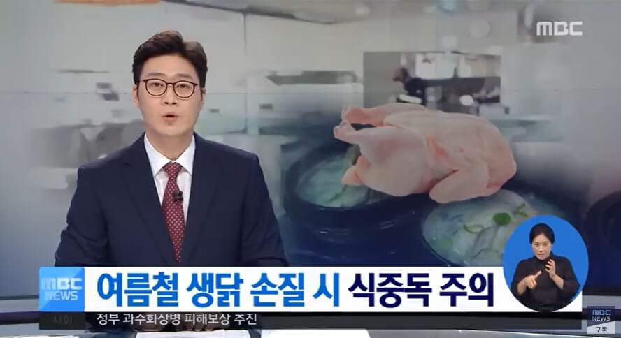 여름철 생닭 손질 시 식중독 주의