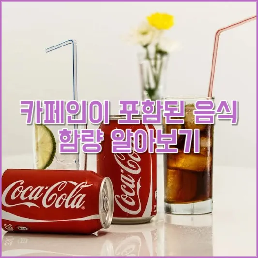카페인이 포함된 음식