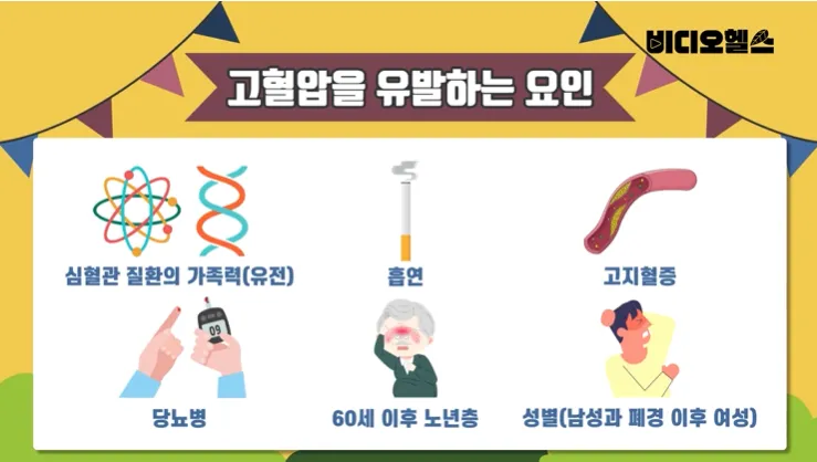 고혈압을 유발하는 요인
- 심혈관 질환의 가족력(유전)
- 흡연
- 고지혈증
- 당뇨병
- 60세 이후 노년층
- 성별(남성과 폐경 이후 여성)