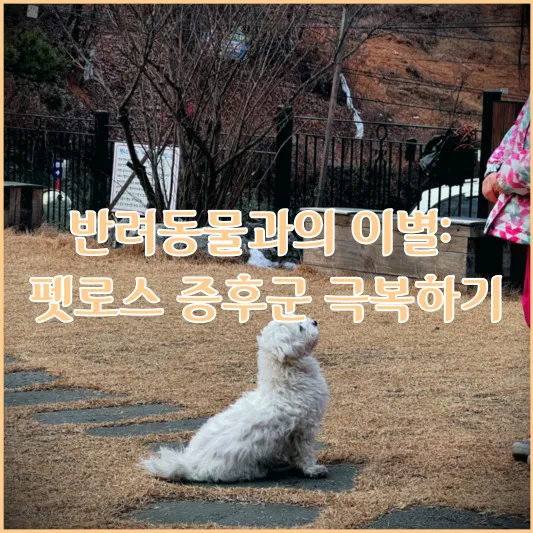 반려동물과의 이별: 펫로스 증후군 극복하기